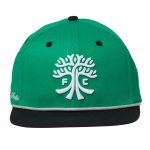 unisex austin fc live breathe futbol green snapback hat | Inter Miami CF Jerseys, Hats, and MLS Fan Gear